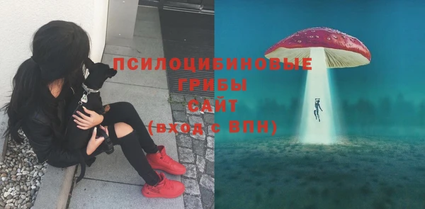 хмурый Белоозёрский
