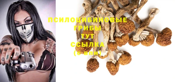 кокаин Белокуриха