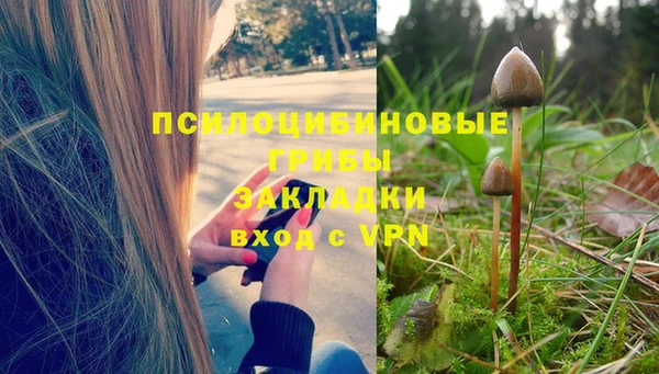 герыч Воткинск