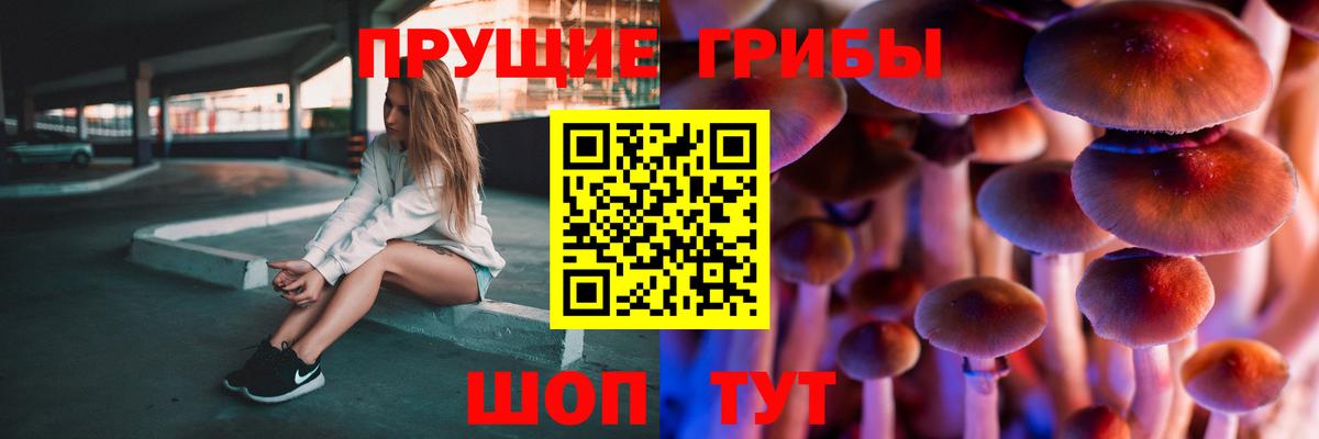 где можно купить   Галлюциногенные грибы GOLDEN TEACHER  Псилоцибиновые грибы GOLDEN TEACHER  Вход с VPN  Вязьма 