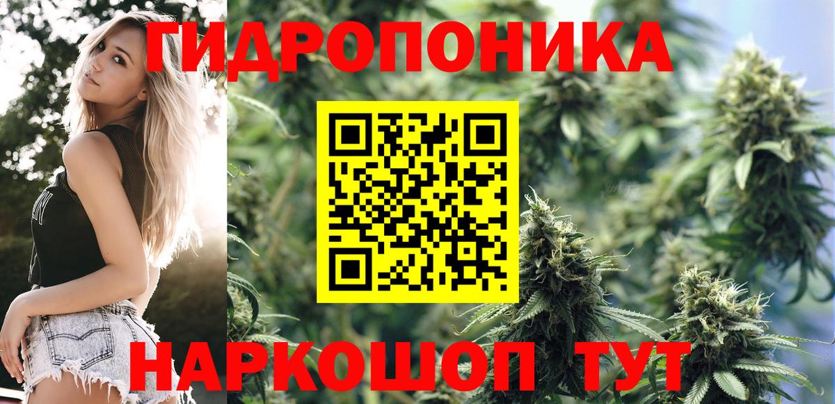 Вязьма  Конопля семена  Каннабис конопля  Шишки марихуана конопля  Вход с VPN 